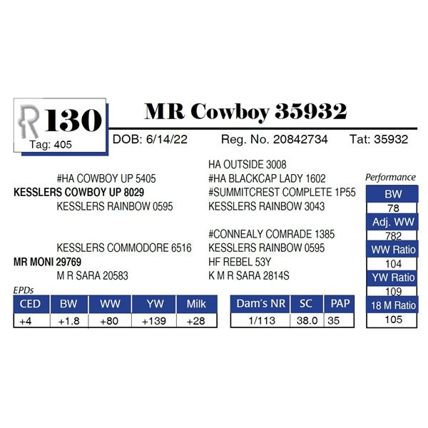 MR Cowboy 35932