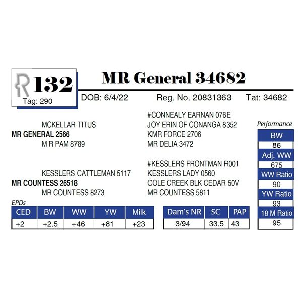 MR General 34682