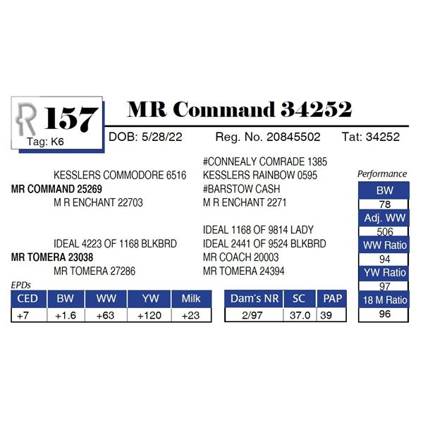 MR Command 34252