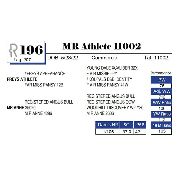 MR Athlete 11002