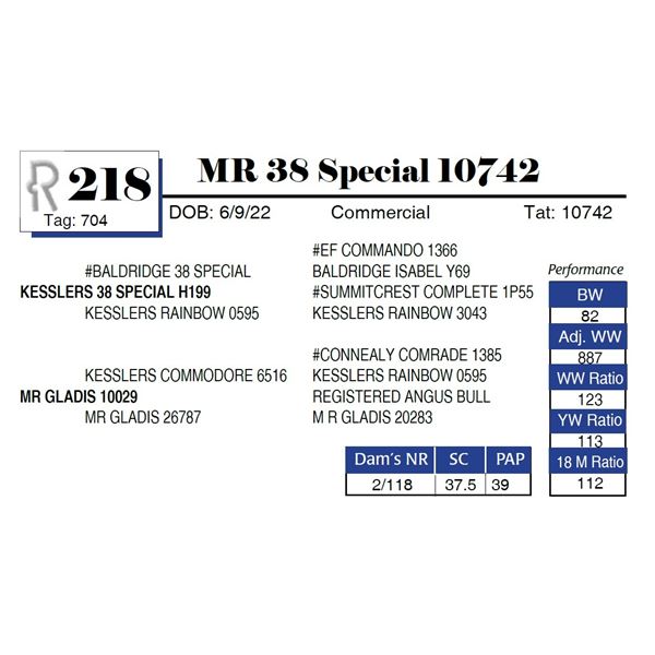 MR .38 Special 10742