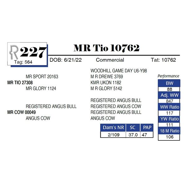 MR Tio 10762