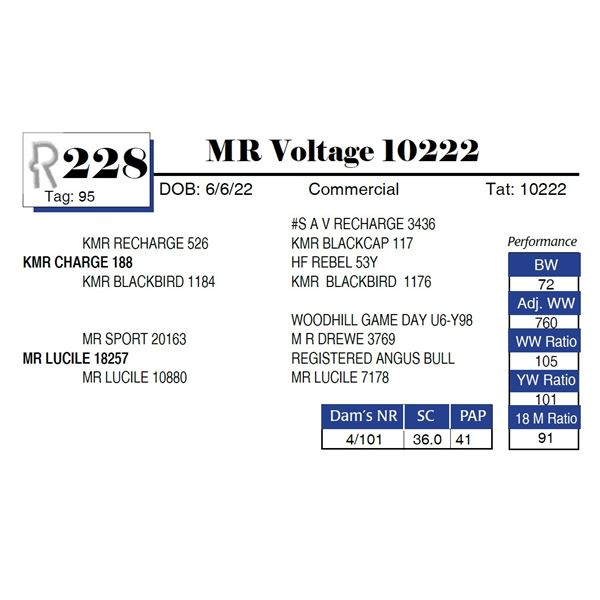 MR Voltage 10222