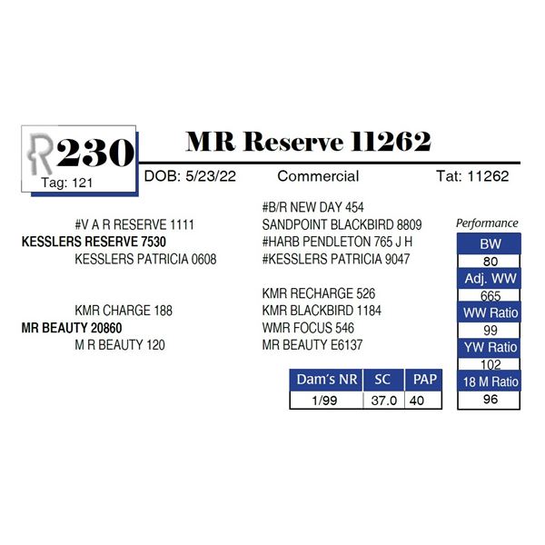 MR Reserve 11262