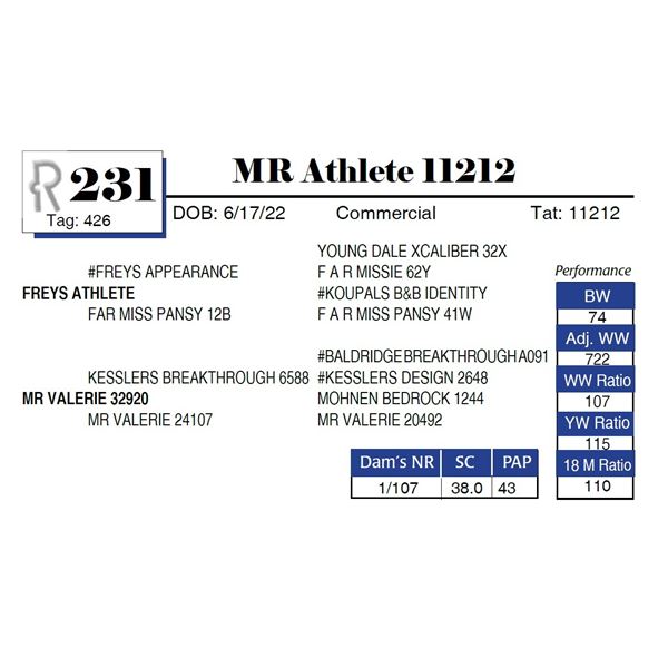 MR Athlete 11212