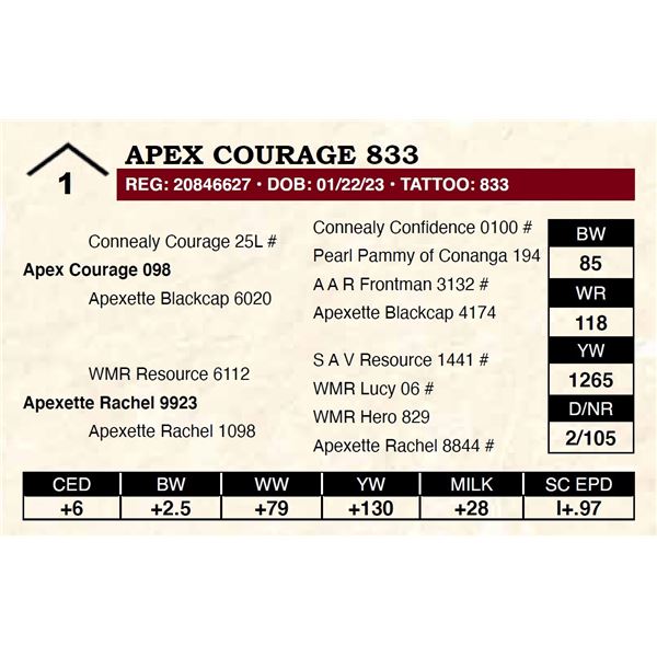 Apex Courage 833