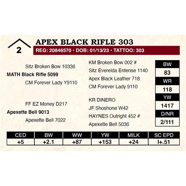 Apex Black Rifle 303