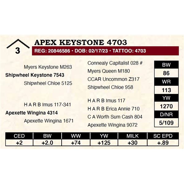 Apex Keystone 4703