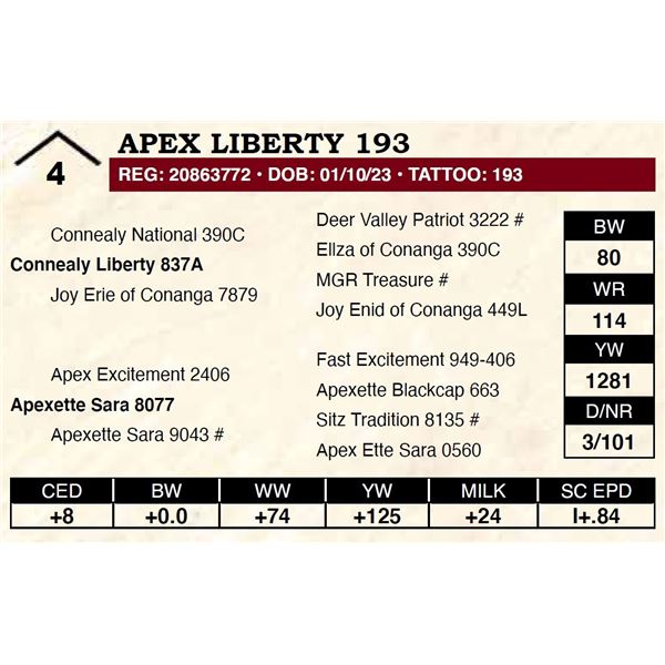 Apex Liberty 193