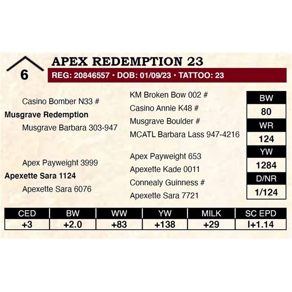 Apex Redemption 23