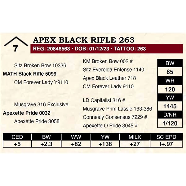 Apex Black Rifle 263