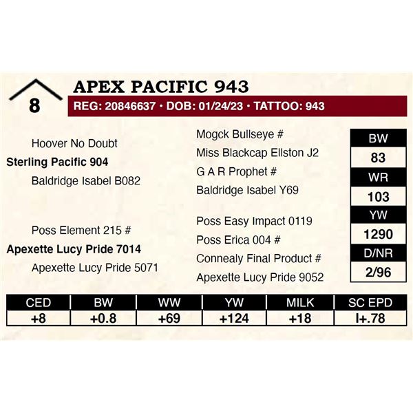 Apex Pacific 943