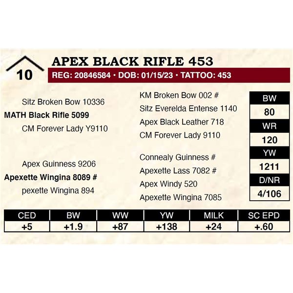 Apex Black Rifle 453