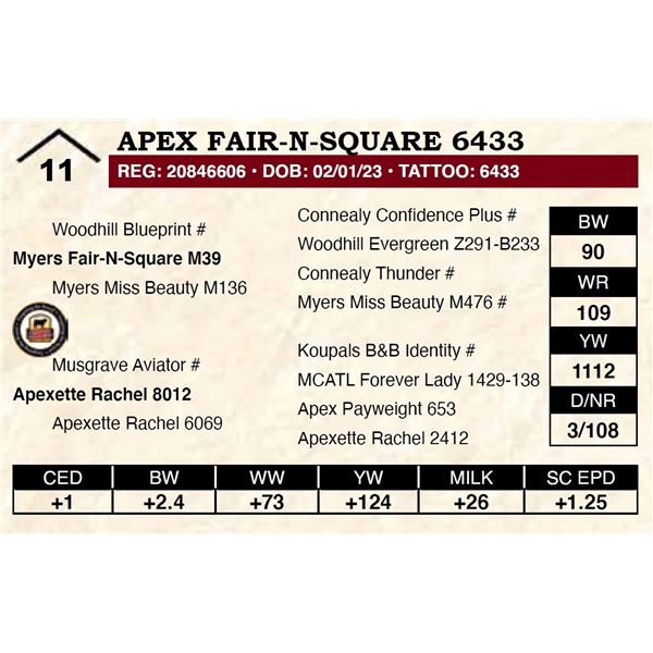 Apex Fair-N-Square 6433