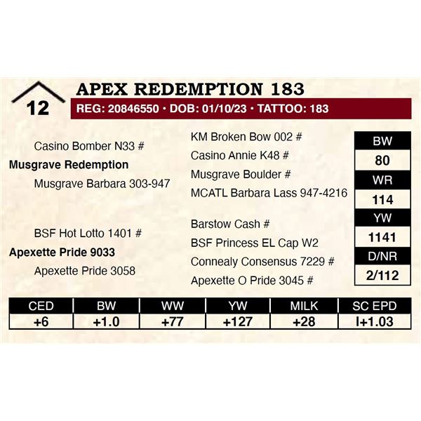 Apex Redemption 183