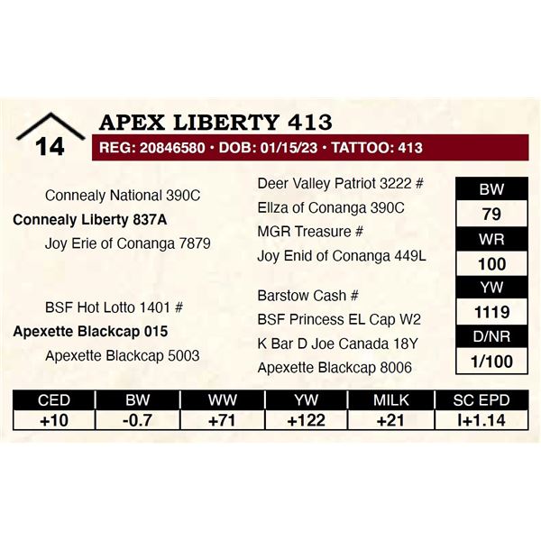 Apex Liberty 413