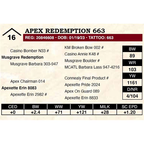 Apex Redemption 663