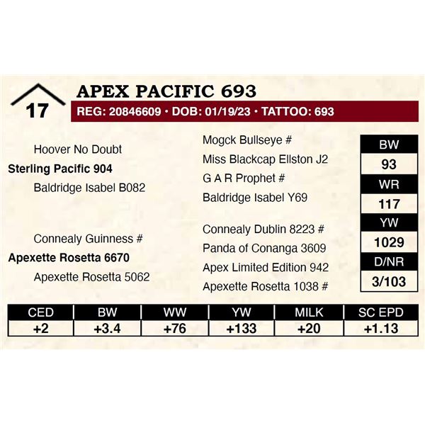 Apex Pacific 693