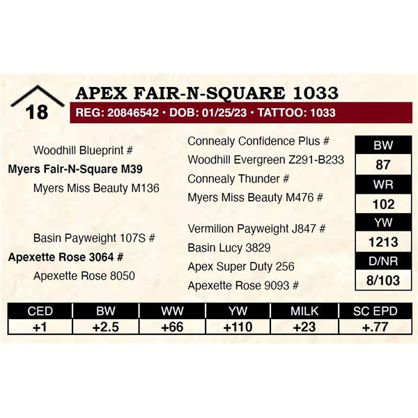 Apex Fair-N-Square 1033