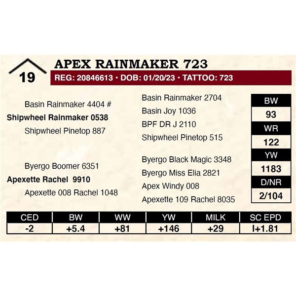 Apex Rainmaker 723