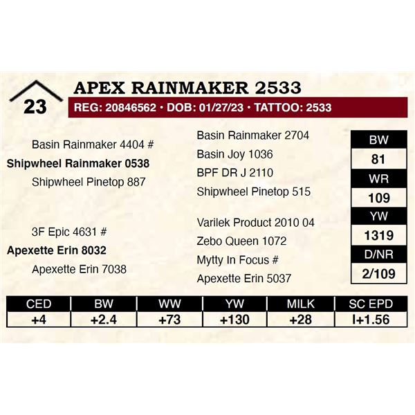 Apex Rainmaker 2533