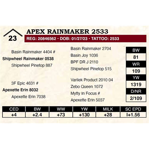 Apex Rainmaker 2533