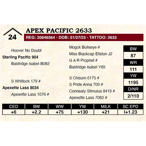 Apex Pacific 2633