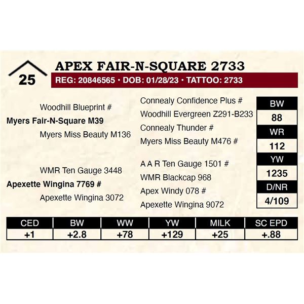 Apex Fair-N-Square 2733