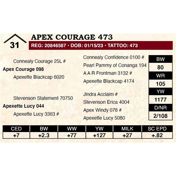 Apex Courage 473