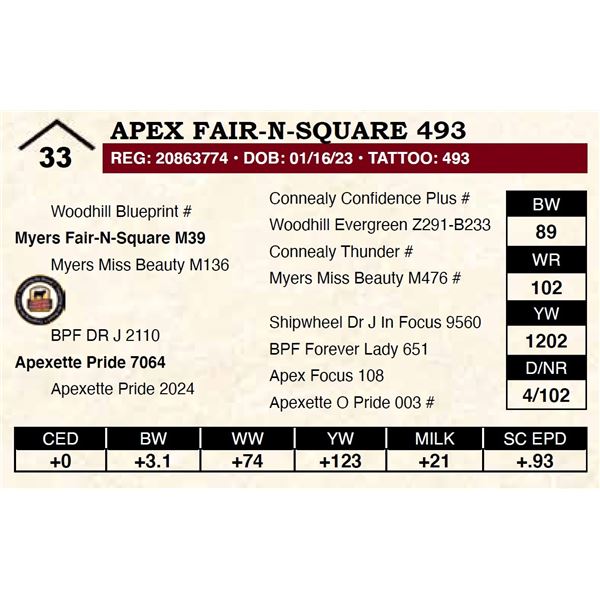 Apex Fair-N-Square 493