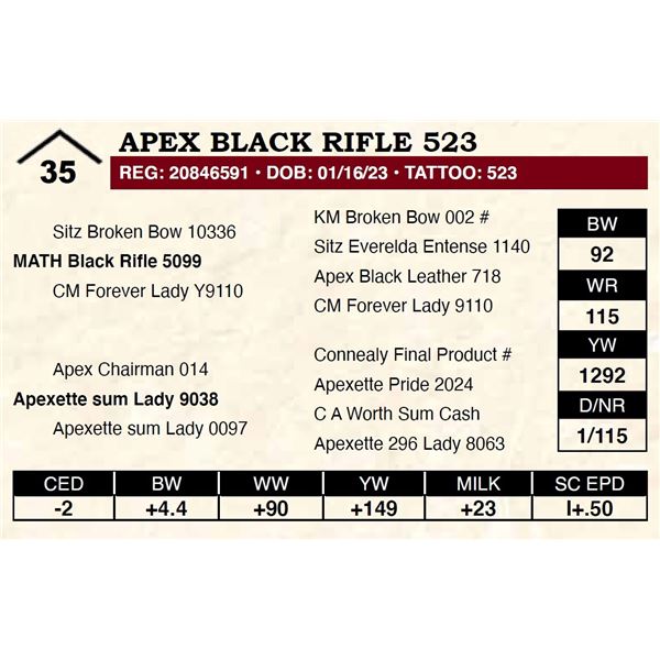 Apex Black Rifle 523