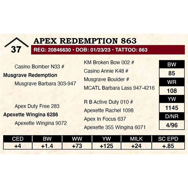 Apex Redemption 863