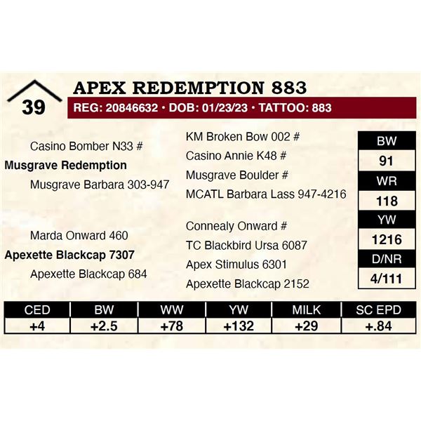 Apex Redemption 883