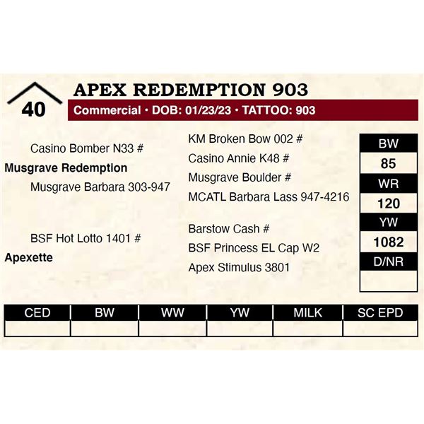 Apex Redemption 903