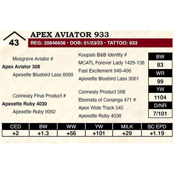 Apex Aviator 933