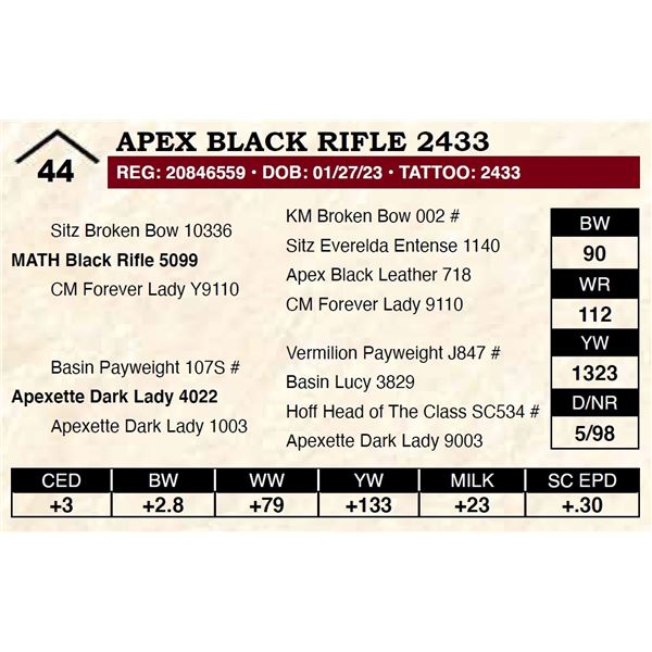 Apex Black Rifle 2433