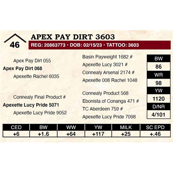 Apex Pay Dirt 3603