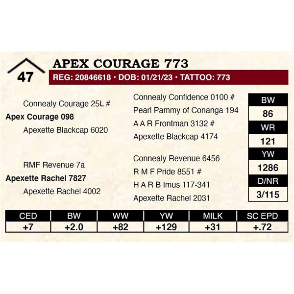 Apex Courage 773