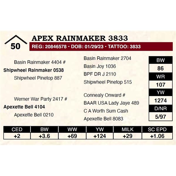 Apex Rainmaker 3833