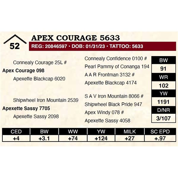 Apex Courage 5633