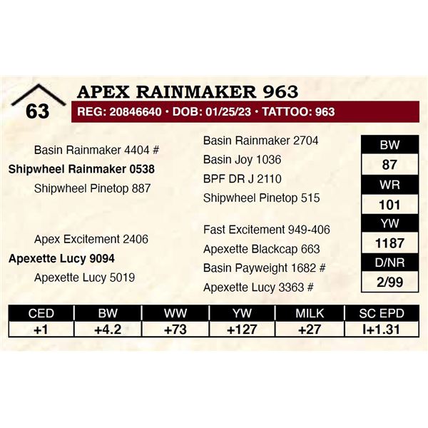 Apex Rainmaker 963