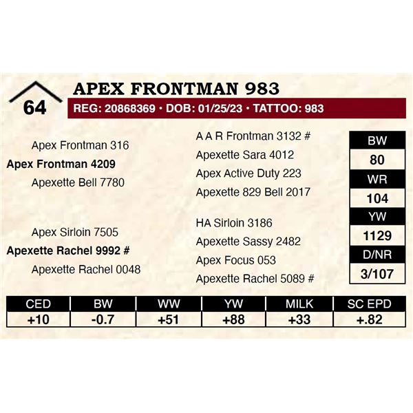 Apex Frontman 983