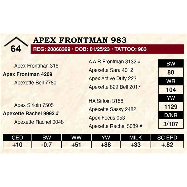 Apex Frontman 983