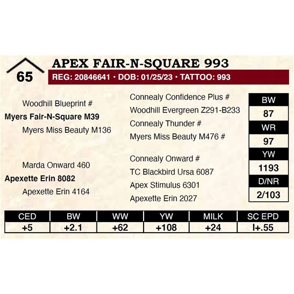 Apex Fair-N-Square 993