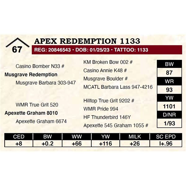 Apex Redemption 1133