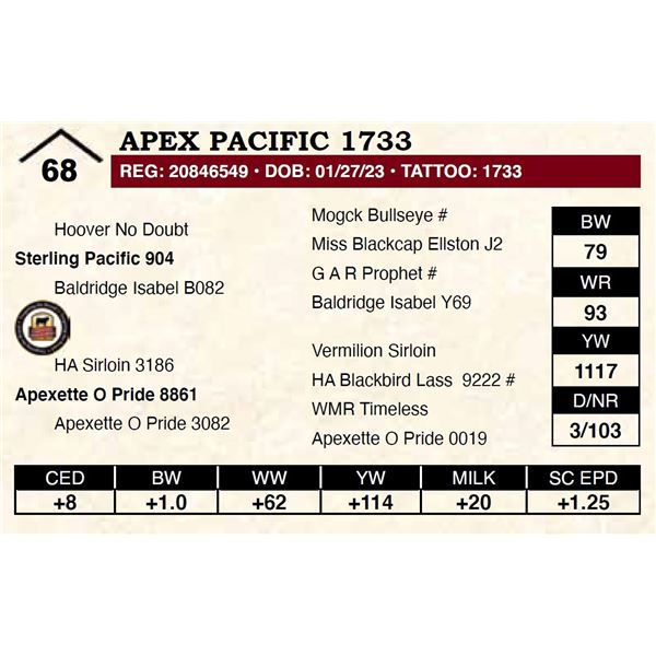 Apex Pacific 1733