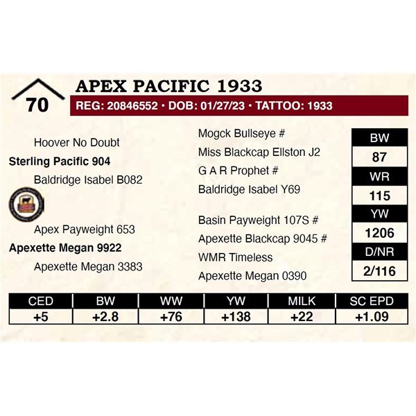 Apex Pacific 1933