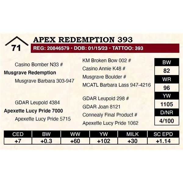 Apex Redemption 393