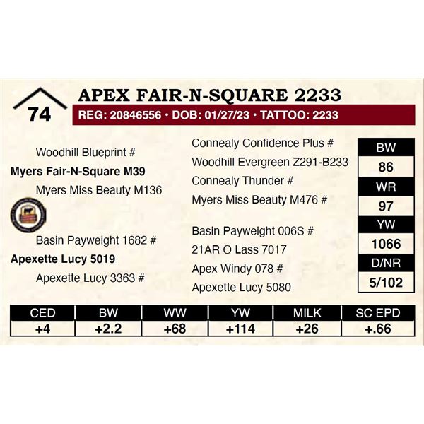 Apex Fair-N-Square 2233