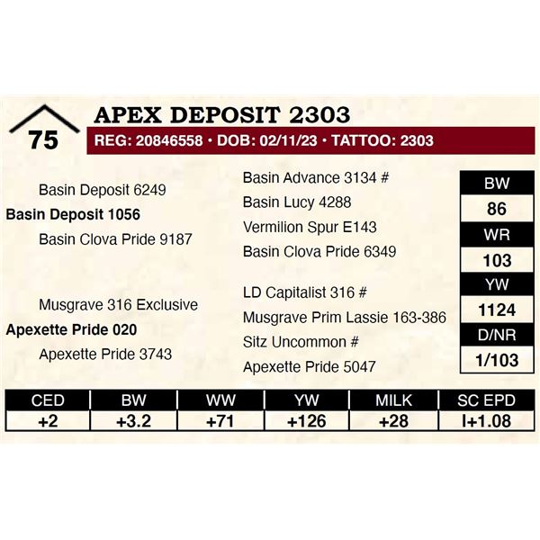 Apex Deposit 2303